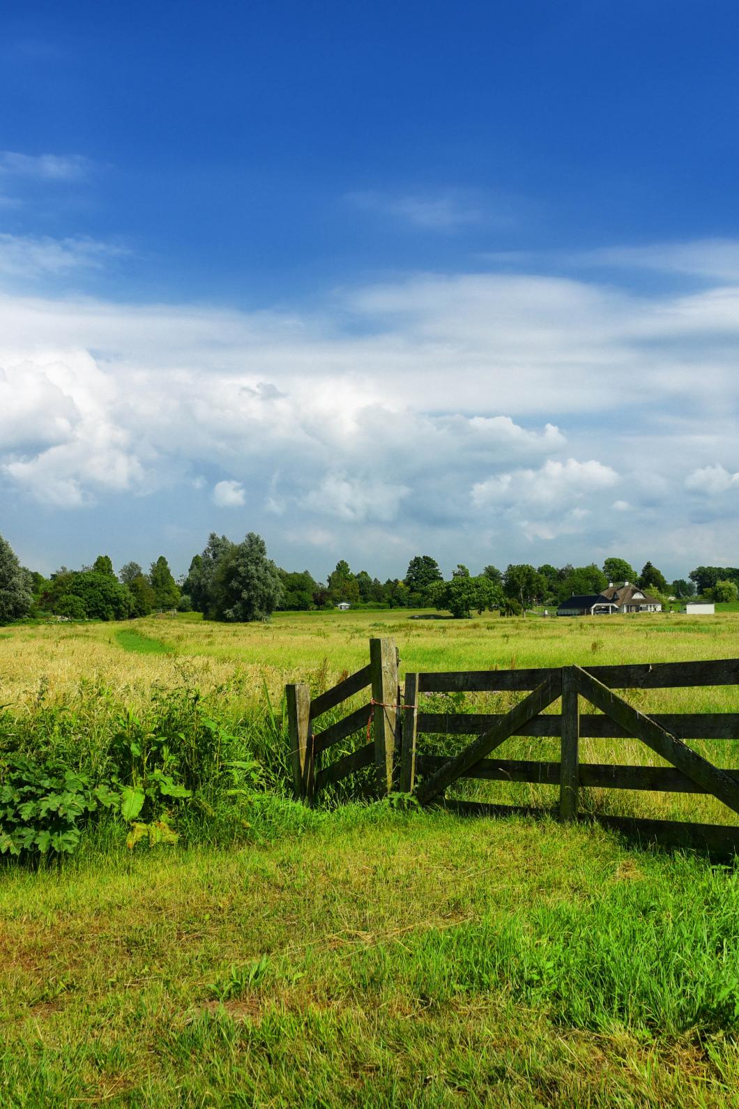 Een hek temidden van groene weides in Nederland